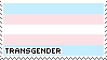 Transgender pride